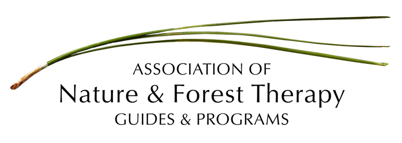 Association of Nature and Forest Therapy